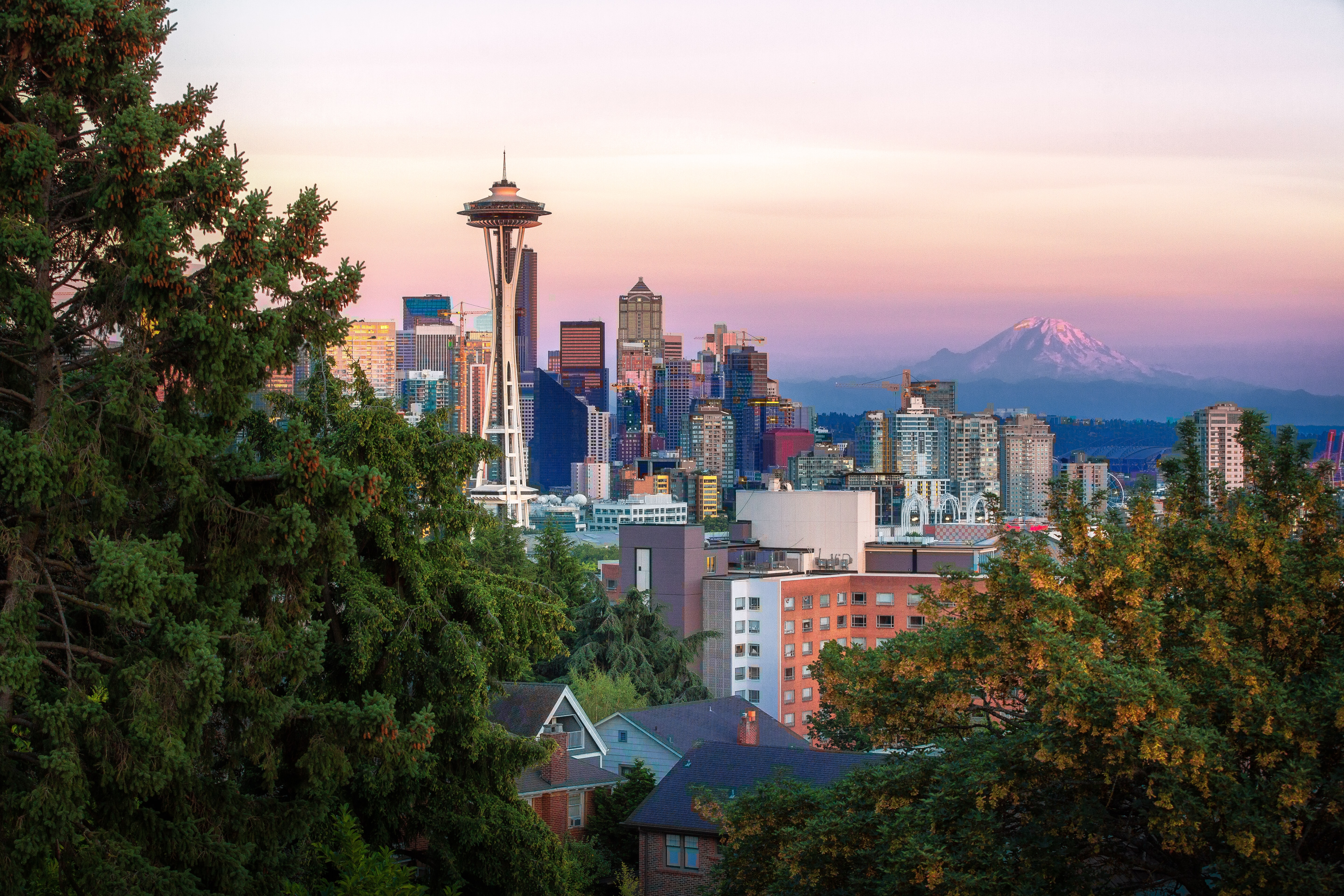 Seattle skyline behind evergreen trees. Photo by Luca Micheli on Unsplash